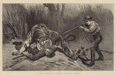 En la Jungla de Bengala, un Momento Crítico de John Charlton